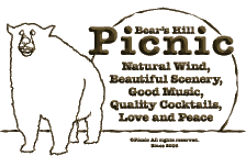 Bar Picnic 16th Anniversary Logo