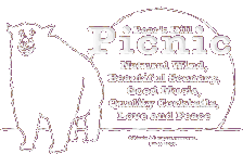 Bar Picnic 19th Anniversary Logo