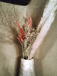 Panicum, Pampas Grass & Plumed Cockscomb