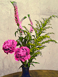 Carnation, Veronica & Solidago