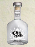 "Cabo Wabo"
Blanco